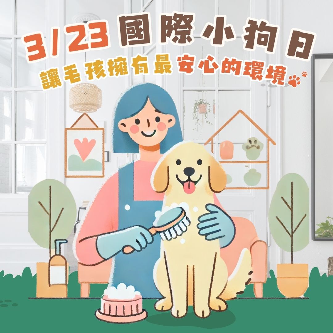 萬有清潔的最新消息 萬有清潔的最新消息圖片