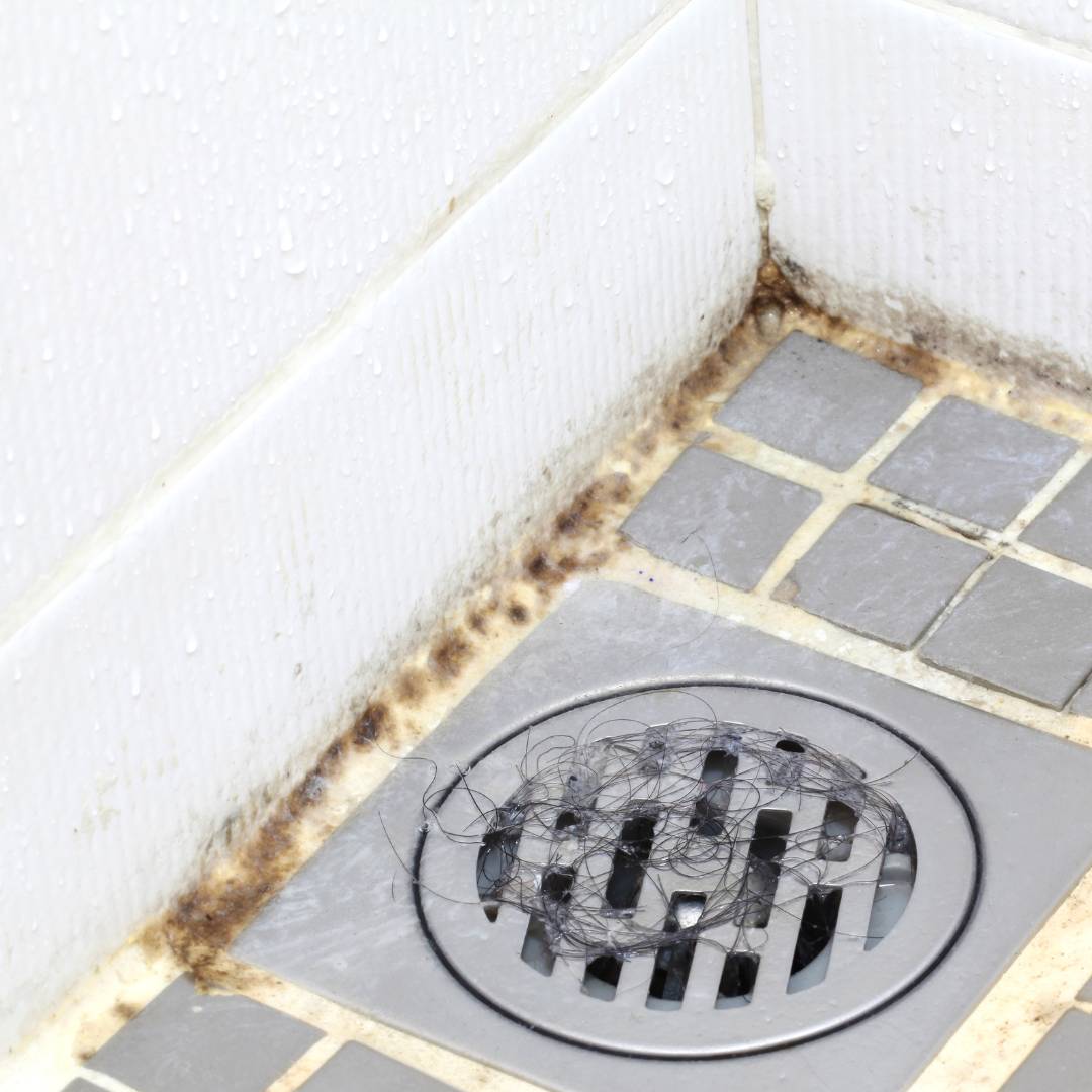 萬有清潔的資訊專區圖片