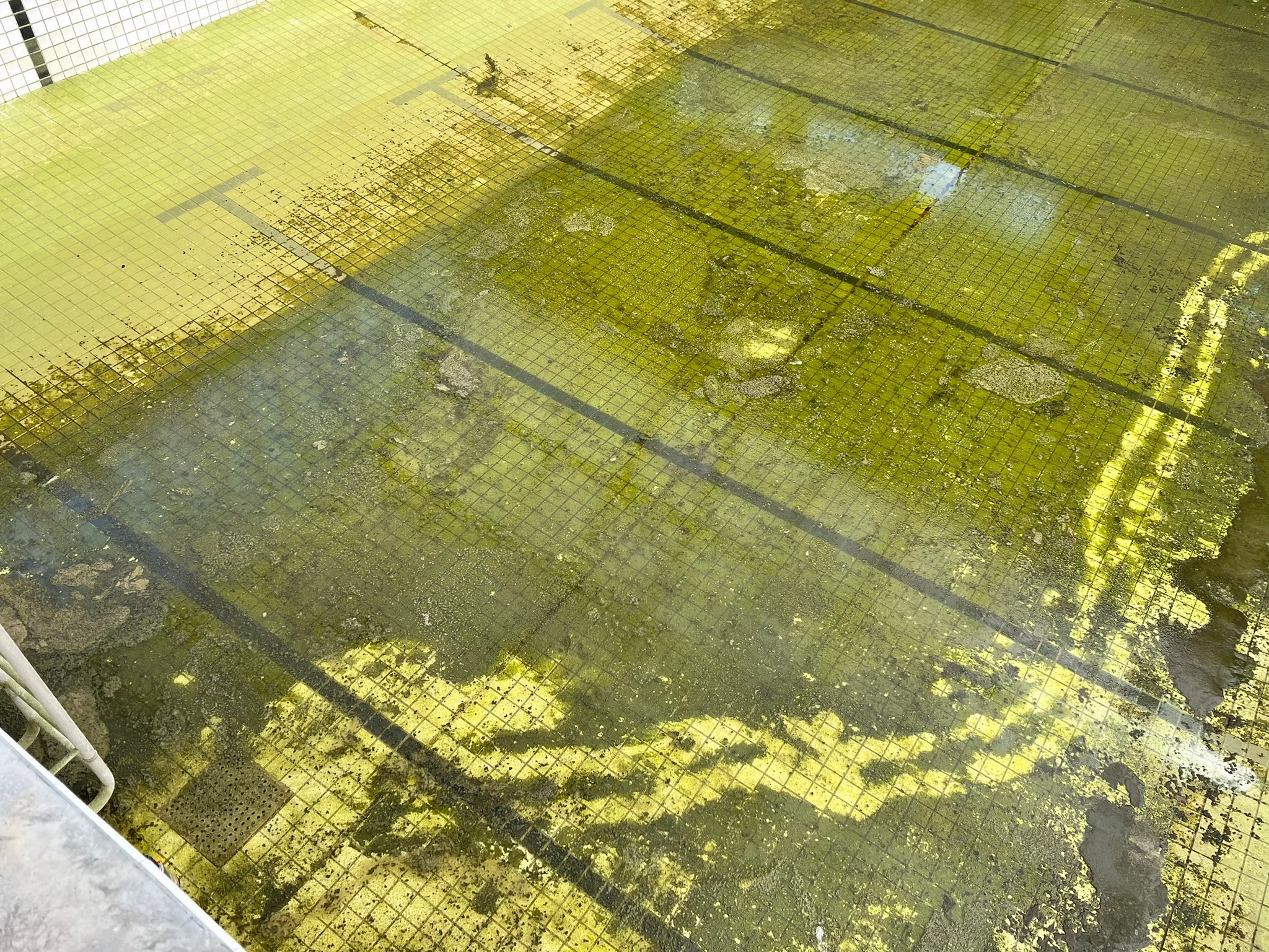 泳池長時間未使用？這些隱藏汙染可能比你想得更嚴重！的第2張圖片