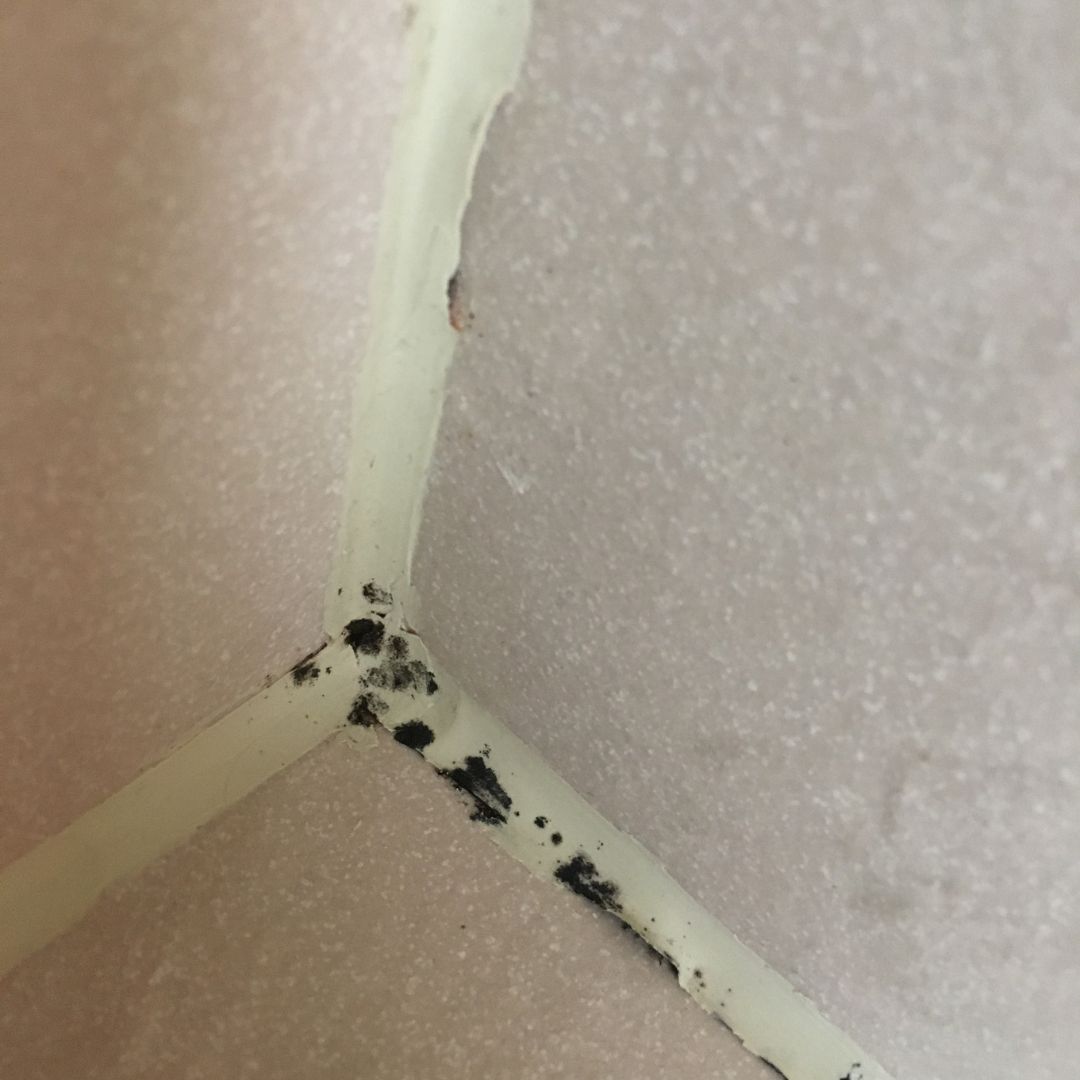 萬有清潔的資訊專區圖片